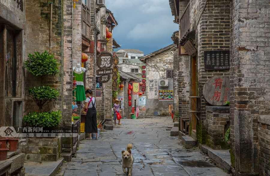 可爱猫咪救援